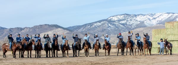 Group photo of the horses and burro that will be available at the February 22, 2020 adoption. Image: BLM.