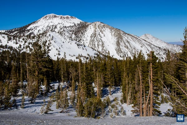 The Sierra snowpack in January 2020. Image: Ty O'Neil