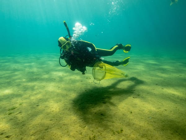 A diver from Clean Up The Lake collects underwater trash.