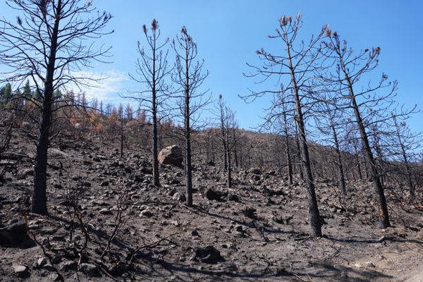 After a wildfire, soils in burned areas often become water repellent, leading to increased erosion and flooding after rainfal
