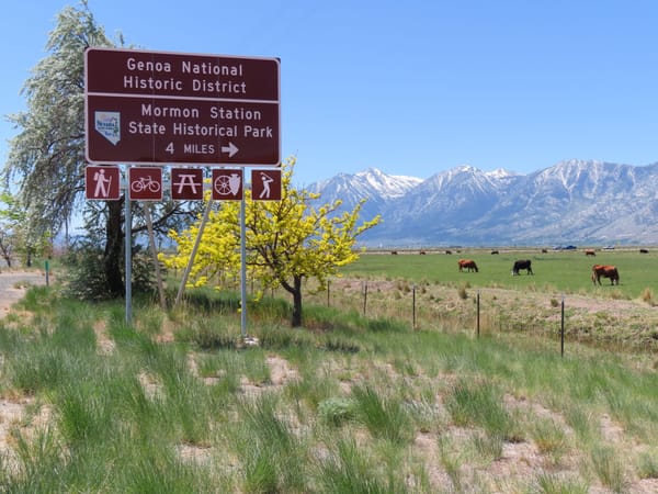 A new wayfinding sign in Carson Valley.