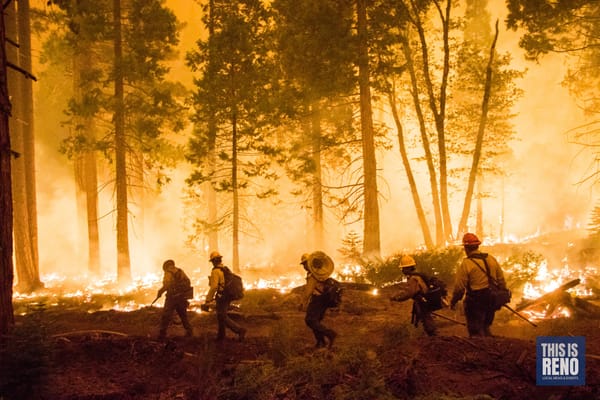 Forest Service in ‘paradigm shift’ to use logging, controlled burns to prevent wildfires