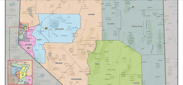 A portion of Nevada's Assembly Districts map drawn during the 2011 redistricting process.