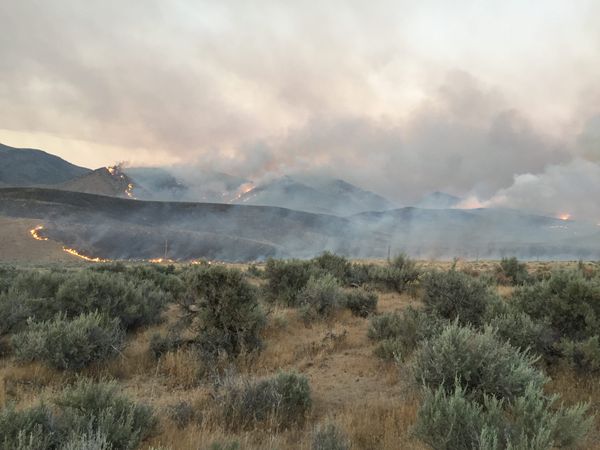 Limerick Fire. Image courtesy of BLM Nevada. Used with permission.